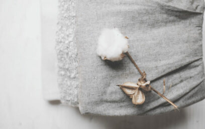 “Tainted Cotton” — Brand Protection and Social Responsibility in Fashion
