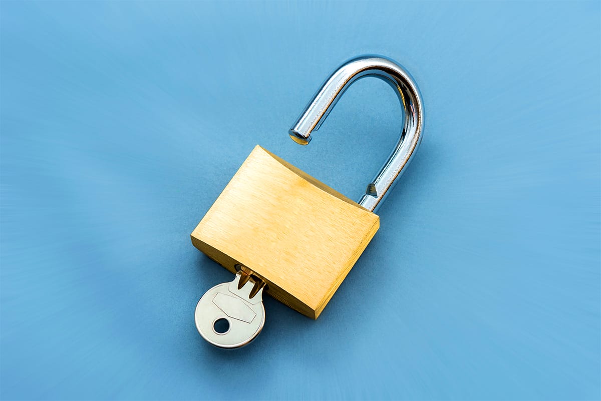 Have You Properly Locked Your Domain Portfolio?