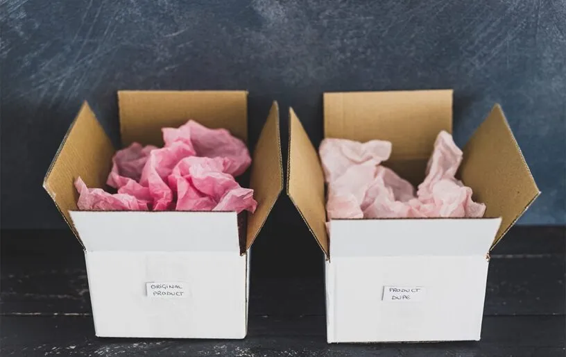 When Counterfeits Go Viral: What Brands Can Learn from the Lafufu Craze