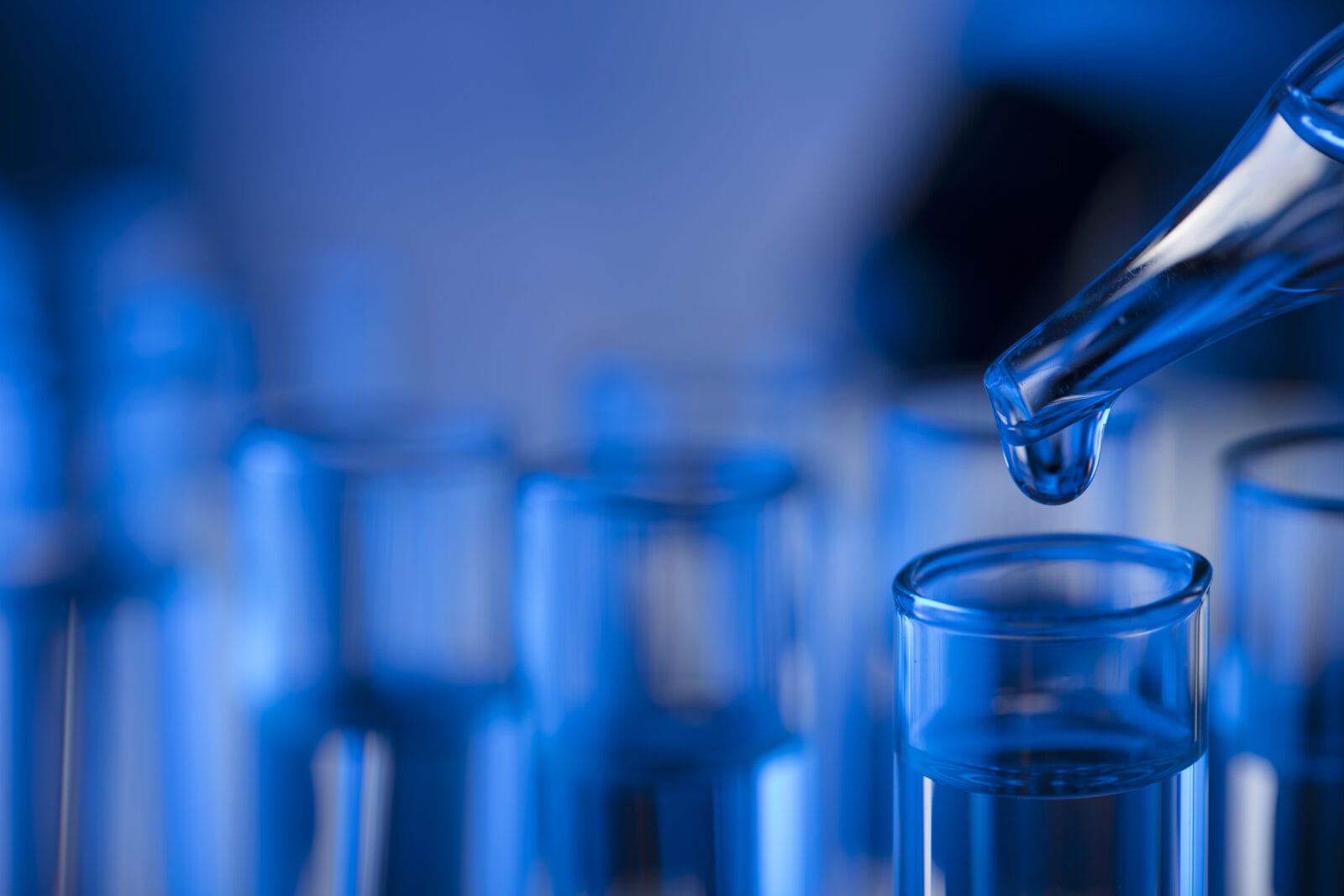 Interview: Unlocking the Future of Brand Protection with Corsearch LABS ...